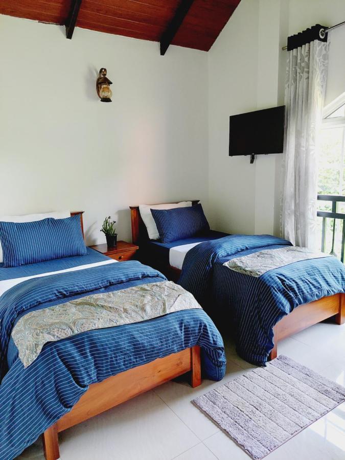 Misthill Rest - Lavish Villa 努沃勒埃利耶 外观 照片
